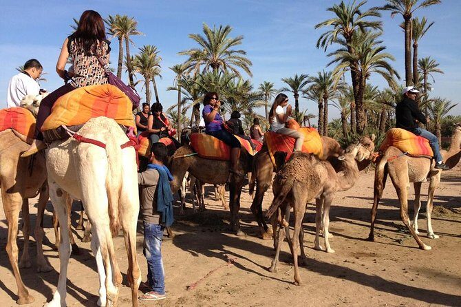 Camel Ride Experience Around Marrakech - Who Should Consider This Tour?