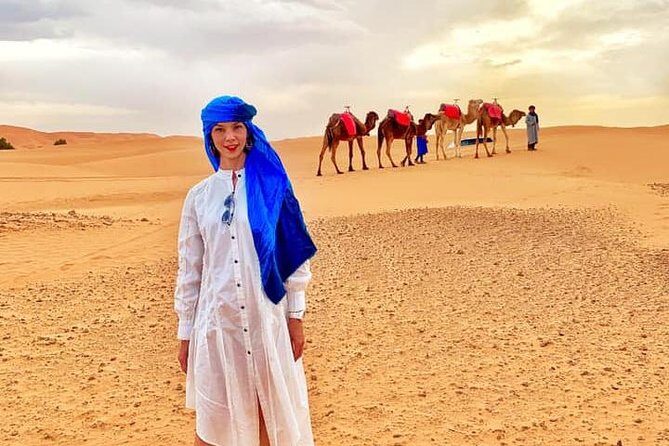 Camel Ride Experience - Pricing and Value: Is It Worth It?