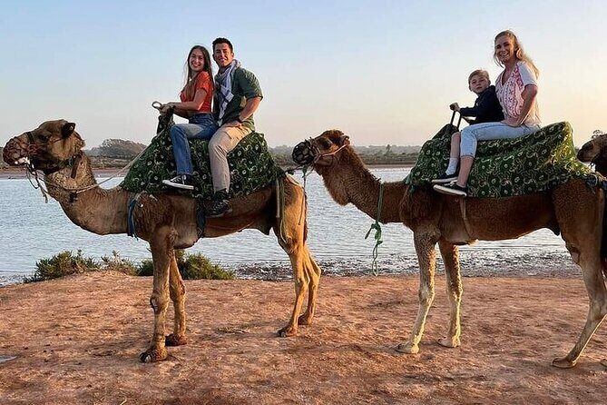 Camel Ride in Agadir at Sunset and Barbecue with Couscous - Key Points