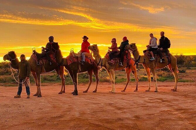 Camel Ride in Agadir at Sunset and Barbecue with Couscous - Final Thoughts