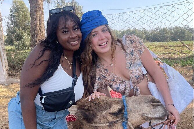 Camel ride in agadir at sunset with barbecue and couscous - Key Points