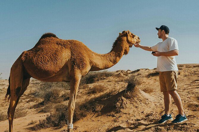 Camel Ride in Agadir with Dinner BBQ - Logistics and Practicalities