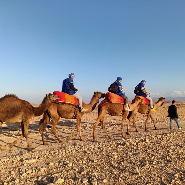 Camel Ride In Agafay Desert - Key Points