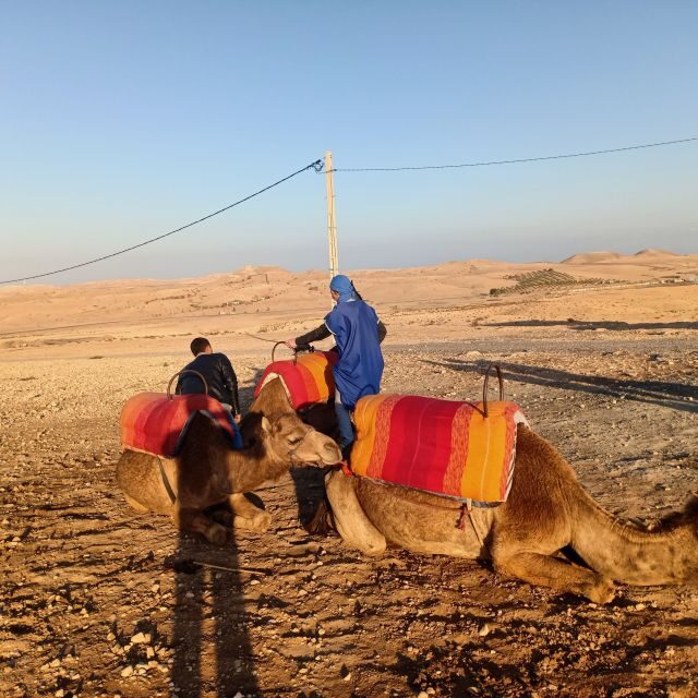 Camel Ride In Agafay Desert - Authenticity and Reliability