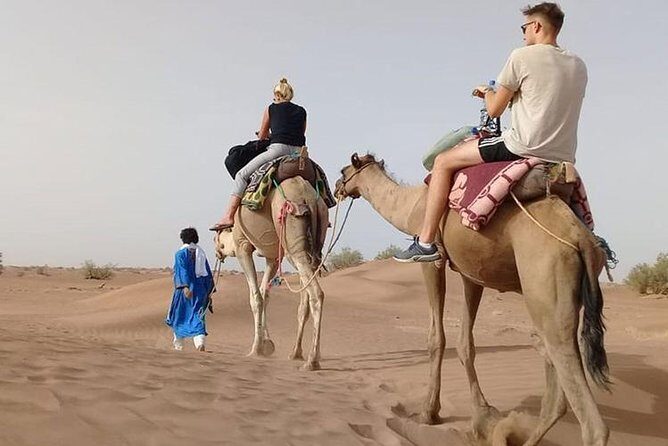 Camel Ride in Desert with Dune Bashing, BBQ Dinner and Belly Dance - Discover the Thrills of a Desert Adventure in Dubai