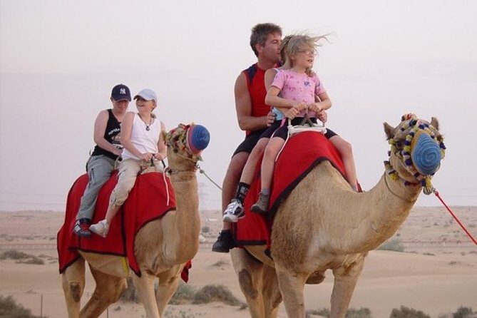 Camel Ride in Desert with Dune Bashing, BBQ Dinner and Belly Dance - Key Points