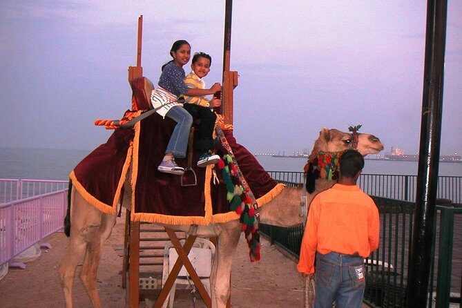 Camel Ride in Desert with Dune Bashing, BBQ Dinner and Belly Dance - Frequently Asked Questions