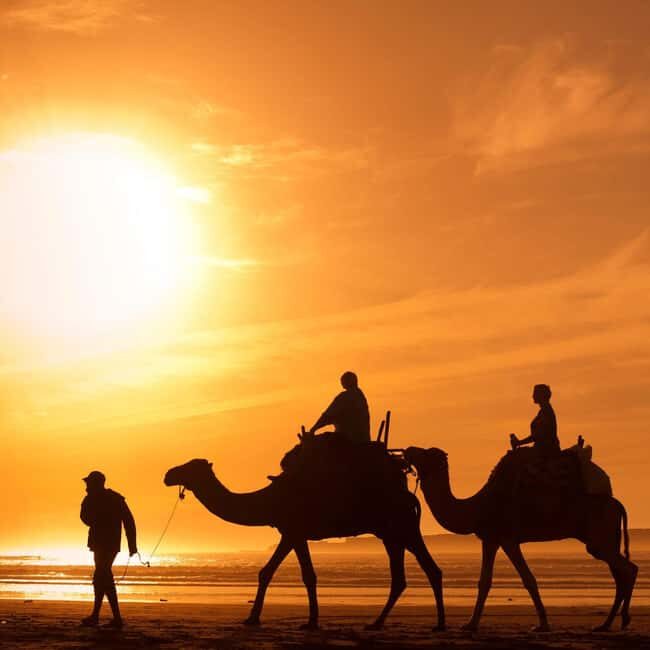 Camel Ride in Essaouira - Key Points