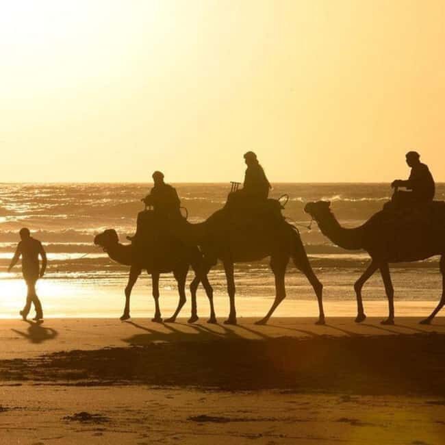 Camel Ride in Essaouira - Who Should Consider This Tour