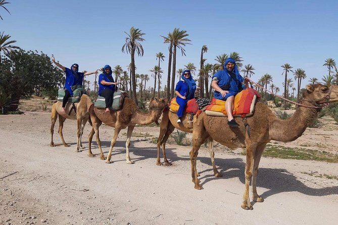 Camel Ride in Marrakech desert palmgrove - Introduction