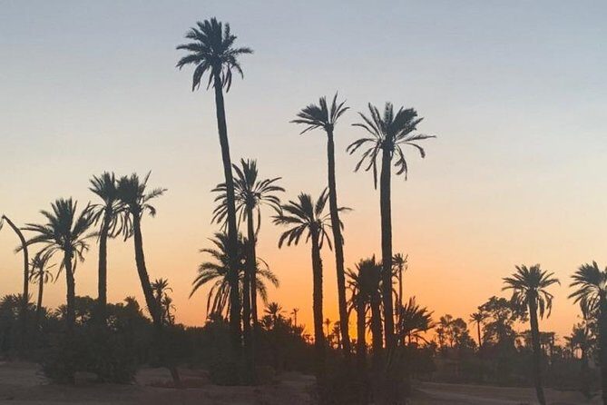 Camel Ride in Marrakech desert palmgrove - Key Points