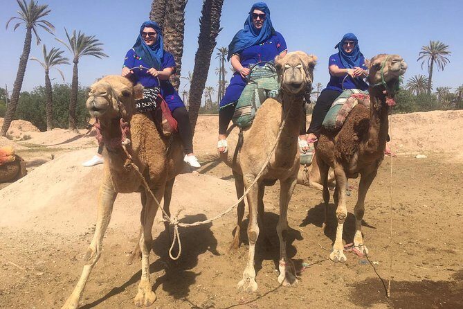 Camel Ride in Marrakech desert palmgrove - The Itinerary: Breaking Down the Experience