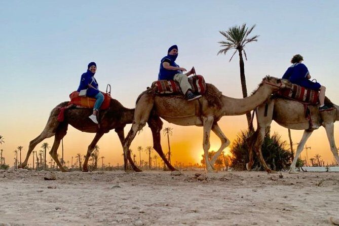 Camel Ride in Marrakech desert palmgrove - Authentic Experience and Scenic Beauty