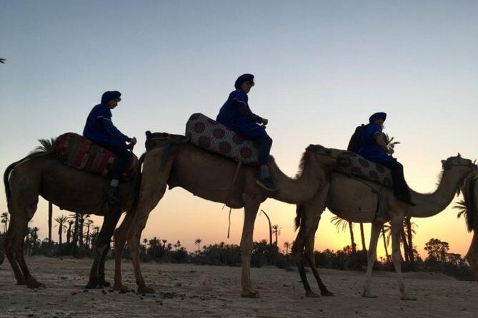 Camel Ride in Marrakech desert palmgrove - FAQ
