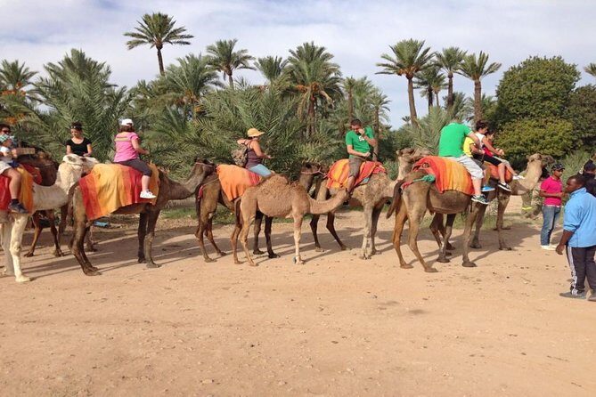 Camel Ride in Marrakech Palm Grove - Final Thoughts: Is It Worth It?