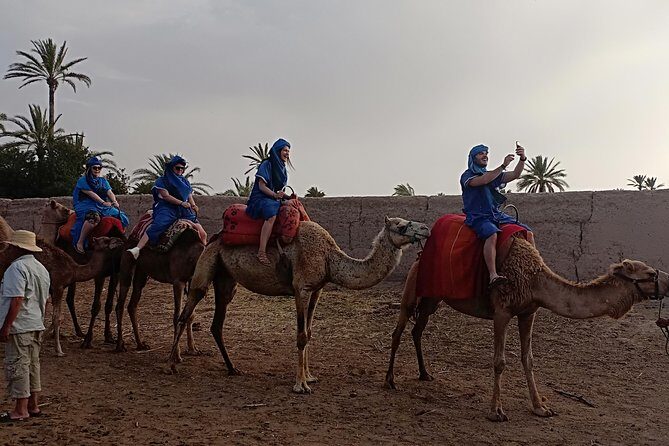 Camel ride in Marrakech (Palmerie) - Considerations Before Booking
