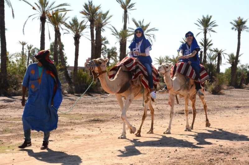 Camel Ride In Palmeraie 1 Hour, With Tea - Key Points