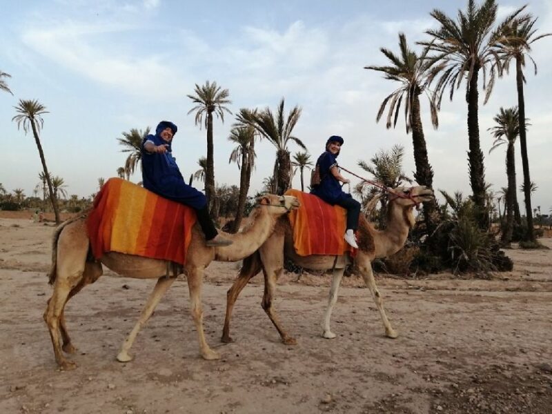 Camel Ride In Palmeraie 1 Hour, With Tea - Exploring the Experience in Detail