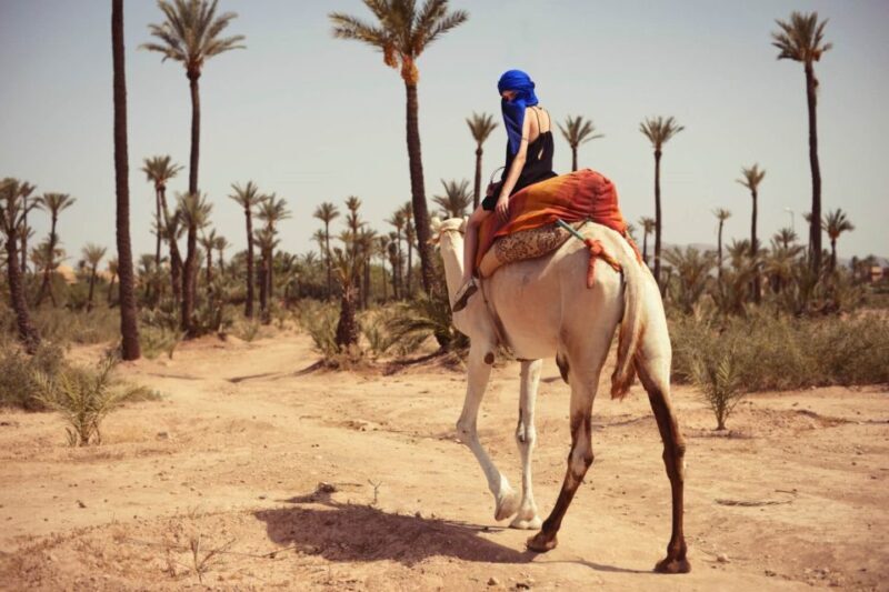 Camel Ride In Palmeraie 1 Hour, With Tea - Considerations and Tips