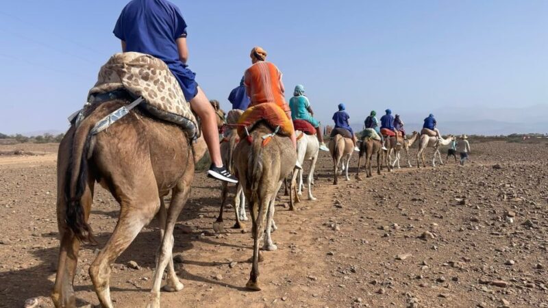 Camel Ride In Palmeraie 1 Hour, With Tea - Final Thoughts