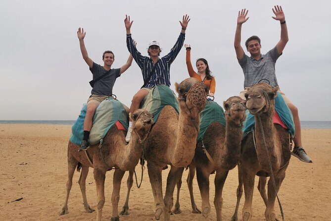 Camel ride in Tanger - The Camel Ride: A Highlight of the Day
