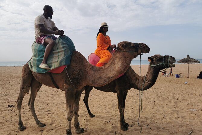 Camel ride in Tanger - Additional Highlights and Flexibility