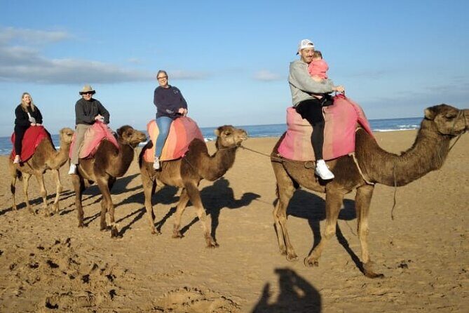 Camel Ride in Tangier - Key Points