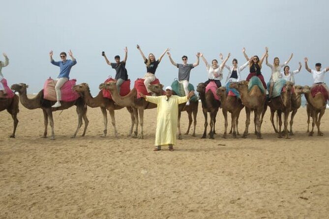 Camel Ride in Tangier - Authenticity and Testimonials from Travelers