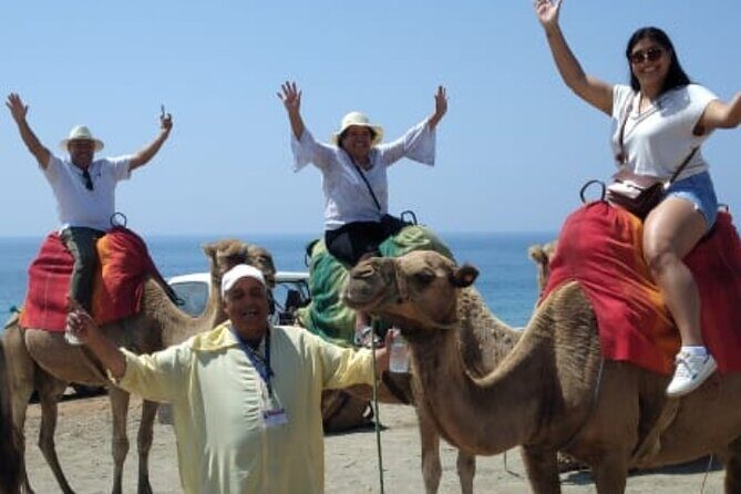 Camel Ride in Tangier - Who Will Love This Tour?