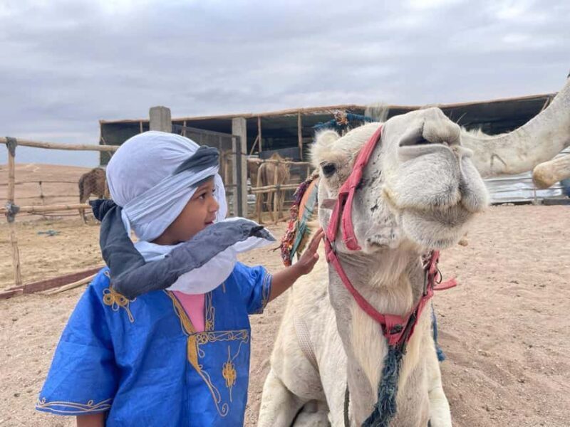 Camel ride in the desert Palmeraie Marrakech - Key Points