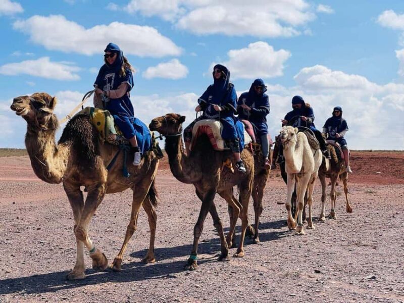Camel ride in the desert Palmeraie Marrakech - Authentic Experiences and Guest Feedback