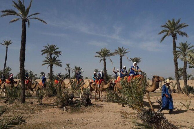 Camel Ride in the Palm Grove - Camel Ride in the Palm Grove: A Practical Guide to Marrakech’s Desert Treasure