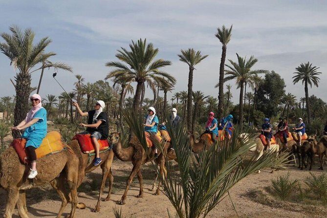 Camel Ride in the Palm Grove - Who Is This Tour Best For?  