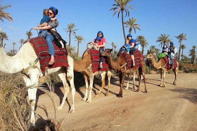 Camel Ride in the Palm Grove of Marrakech - An Overview of the Camel Ride in Marrakech’s Palm Groves