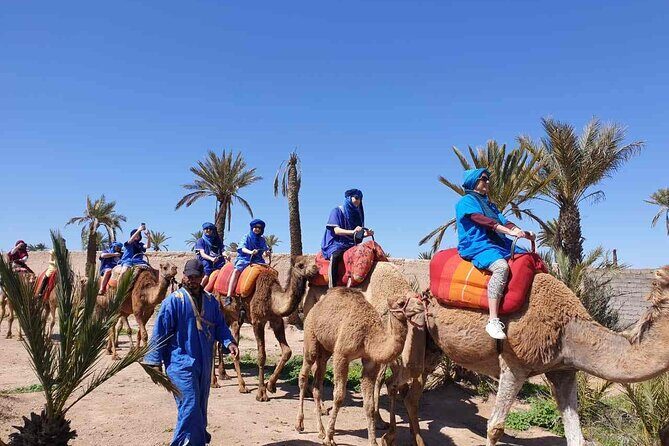 Camel Ride in the Palm Grove of Marrakech - Who is This Tour Best For?