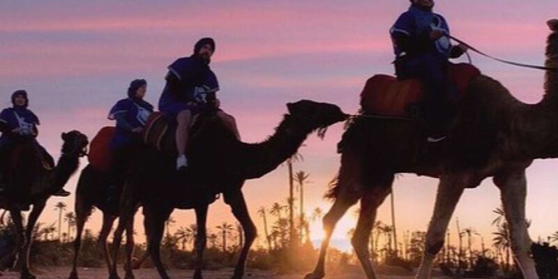 Camel Ride in the Palm Grove of Marrakech - Key Points