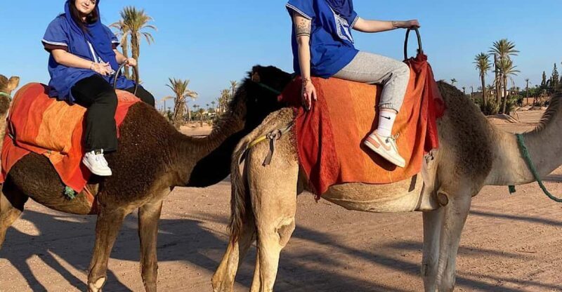 Camel Ride in the Palm Grove of Marrakech - An Inviting Introduction to Marrakech’s Natural Beauty and Culture