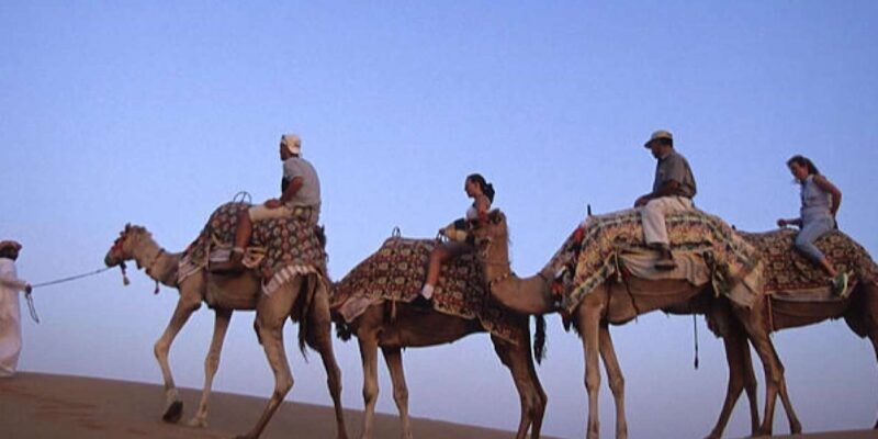 Camel Ride in the Palm Grove of Marrakech - The Practicalities and Value
