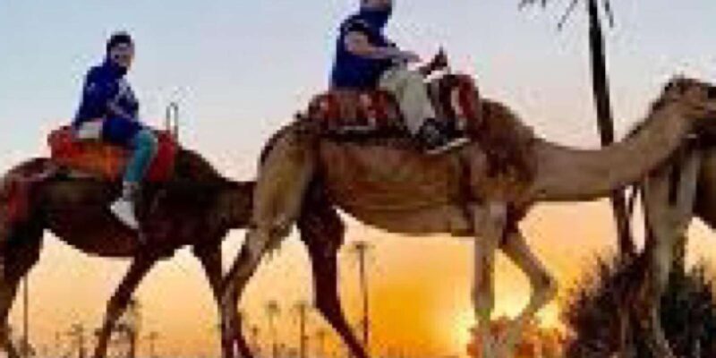Camel Ride in the Palm Grove of Marrakech - Final Thoughts: Who Is This Tour Perfect For?