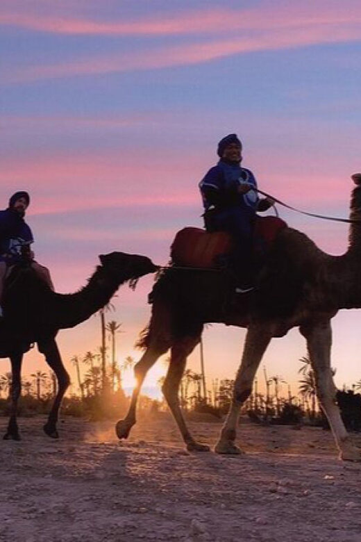 Camel Ride in the Palm Grove of Marrakech - FAQ
