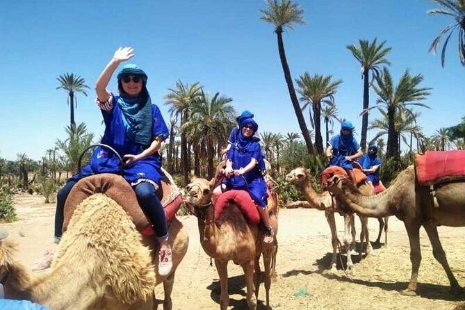 Camel Ride in the Palm Grove of Marrakech - Practical Tips for the Best Experience