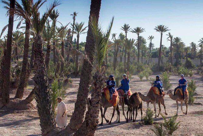 Camel Ride in the Palmeraie of Marrakech - Practical Considerations and Tips