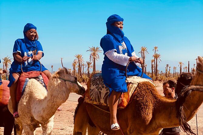 camel ride marrakech - The Itinerary: From City to Oasis