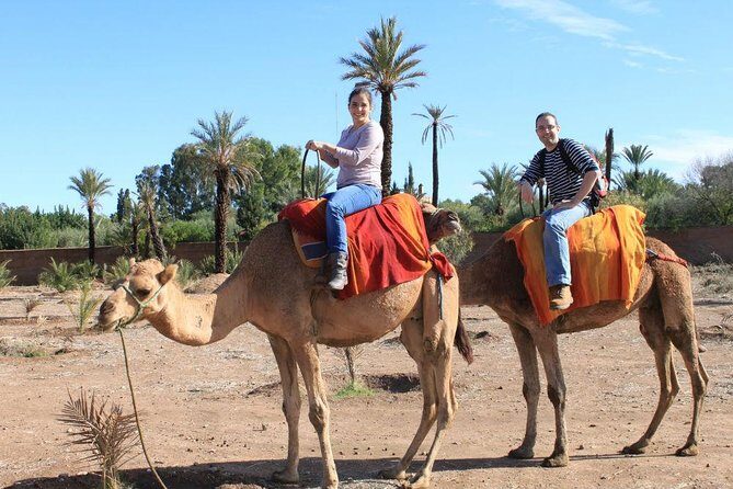 Camel Ride Marrakech - What to Expect from the Camel Ride Marrakech Tour