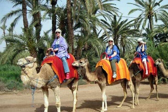 Camel Ride Marrakech - Final Thoughts: Is It Worth It?