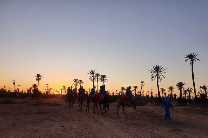 Camel ride Marrakech - The Experience of Riding a Camel