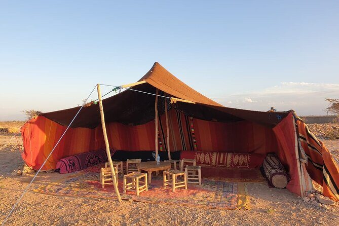 Camel ride Marrakech - Authentic Experiences and Hidden Gems