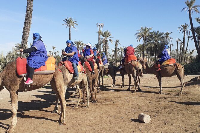Camel ride Marrakech palmeraie - Who Should Book This Tour?