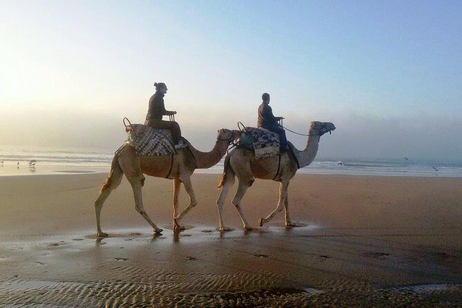 Camel Ride on the Beach of Essaouria - The Sum Up
