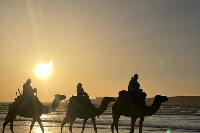 Camel ride or quad bike ride.. pick up, drop off. including - Final Thoughts